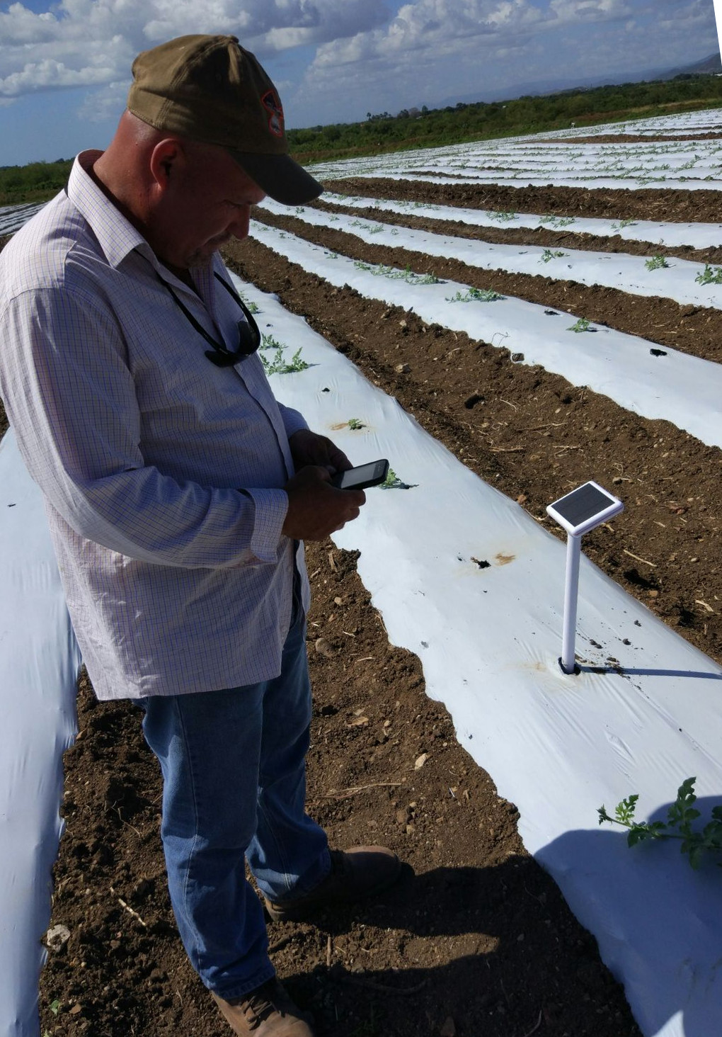 Un agricultor consulta un teléfono junto a un sensor de campo